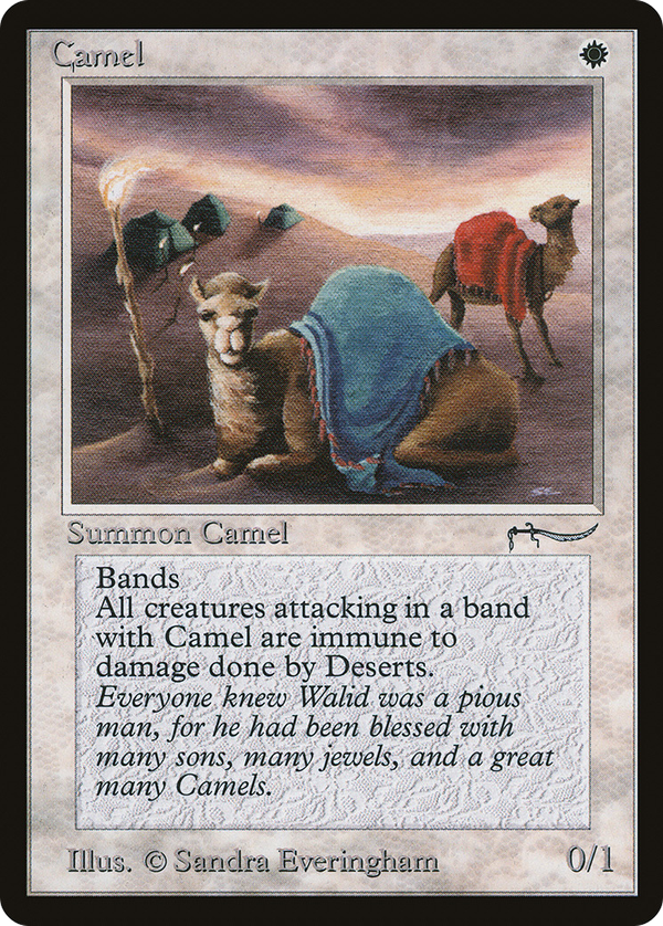 Camel (arn)