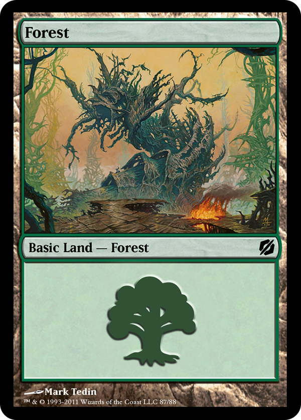 Forest (td2)