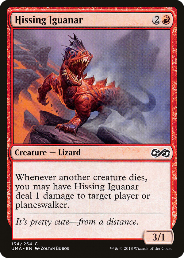 Hissing Iguanar (uma)
