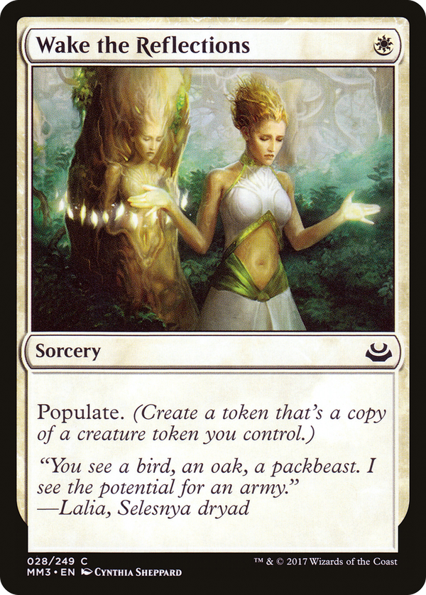 Wake the Reflections (mm3)