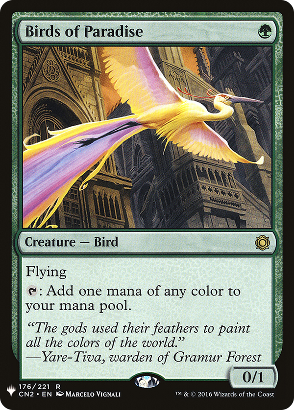 Birds of Paradise (plst)
