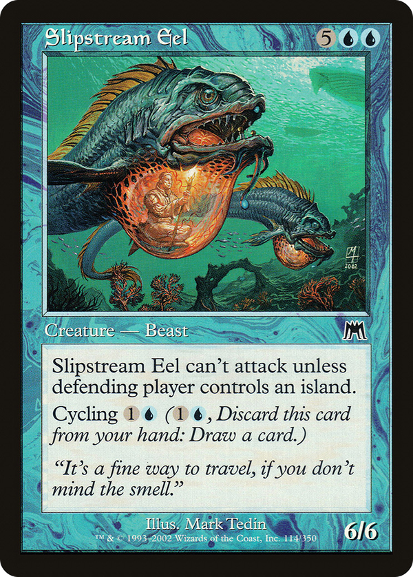 Slipstream Eel (ons)