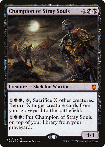 Champion of Stray Souls