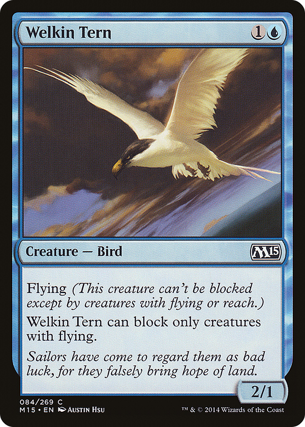 Welkin Tern (m15)