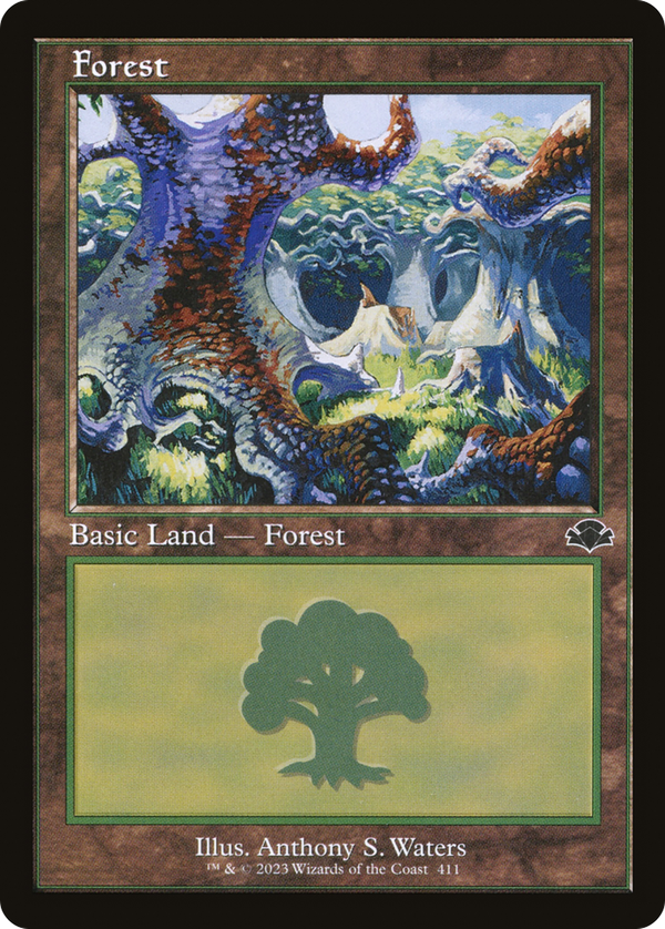 Forest (dmr)