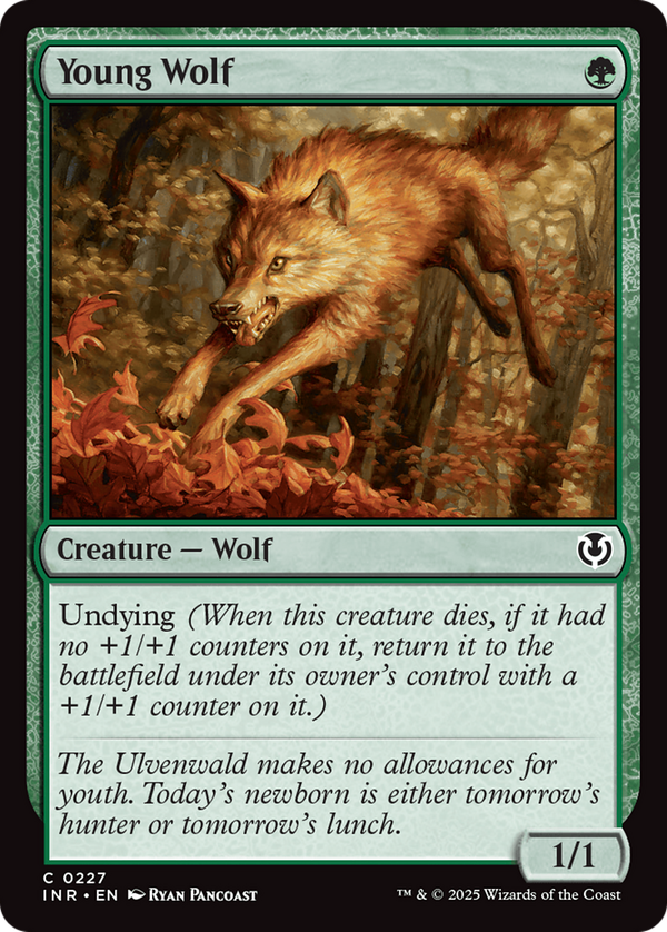 Young Wolf (inr)