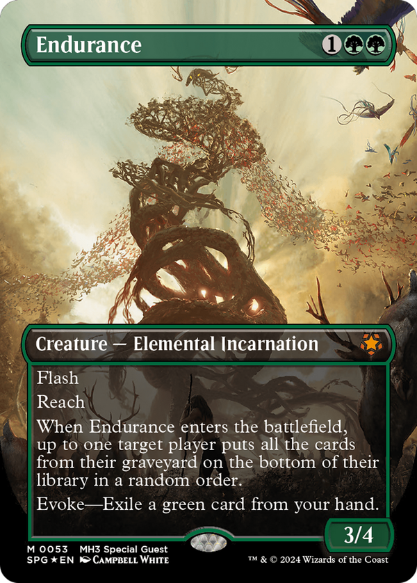 Endurance (spg)