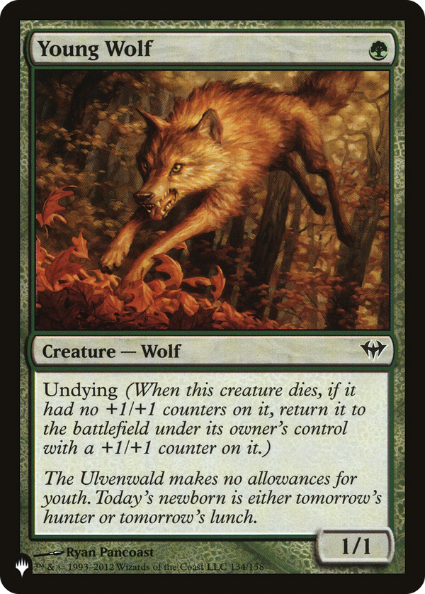 Young Wolf (plst)