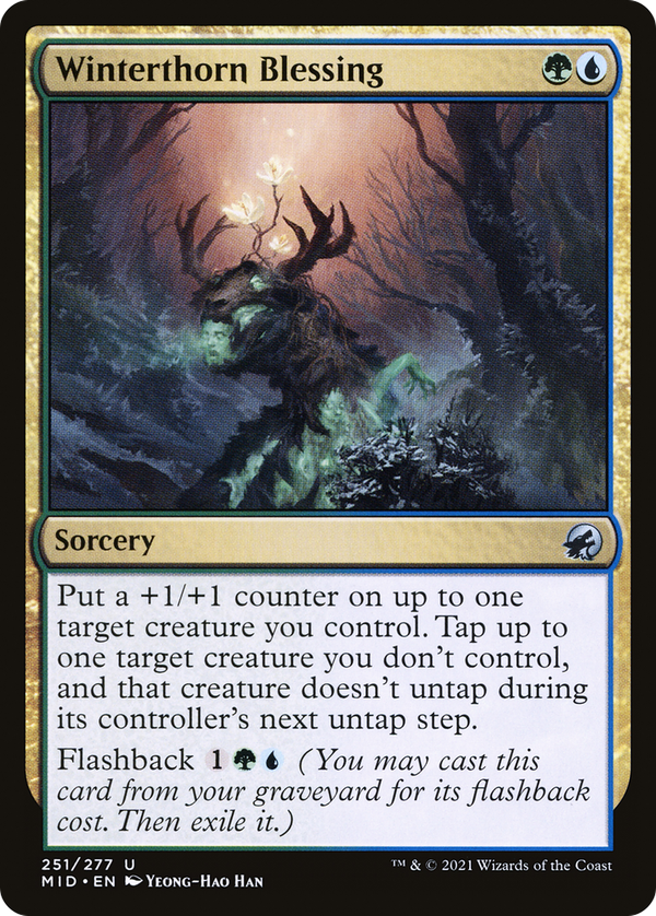 Winterthorn Blessing (mid)