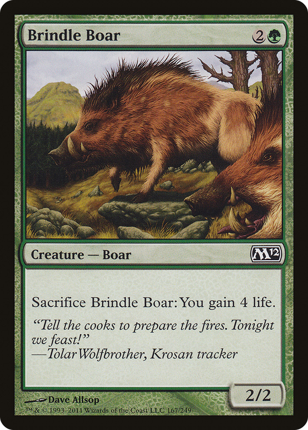Brindle Boar (m12)