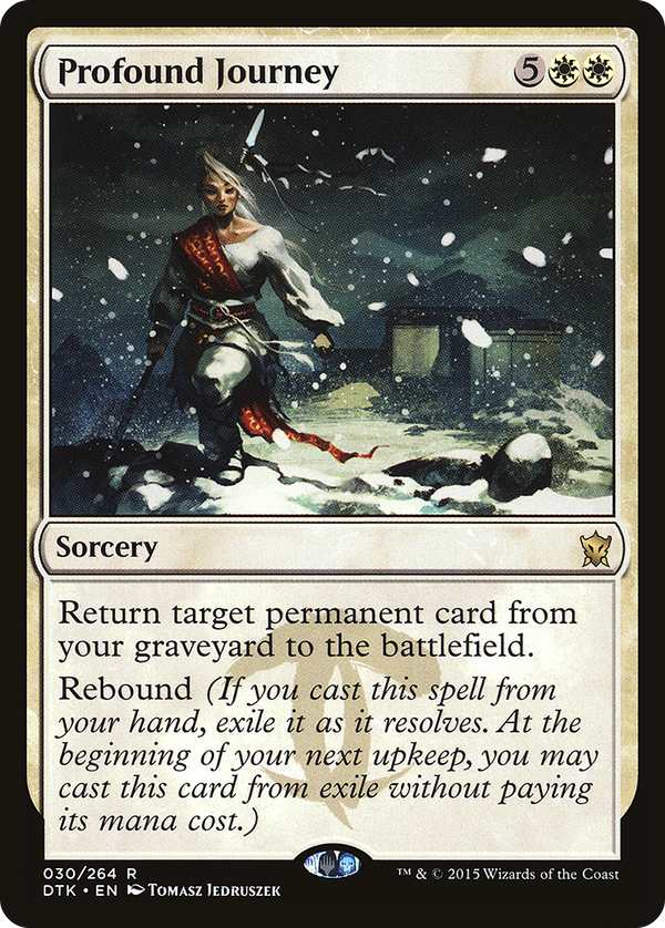 Profound Journey (dtk)