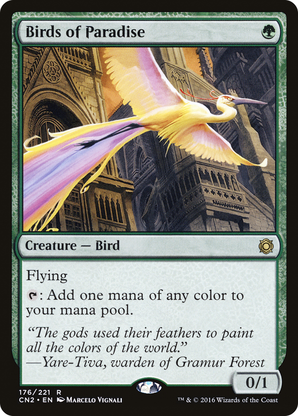 Birds of Paradise (cn2)