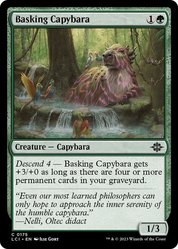 Basking Capybara (lci)